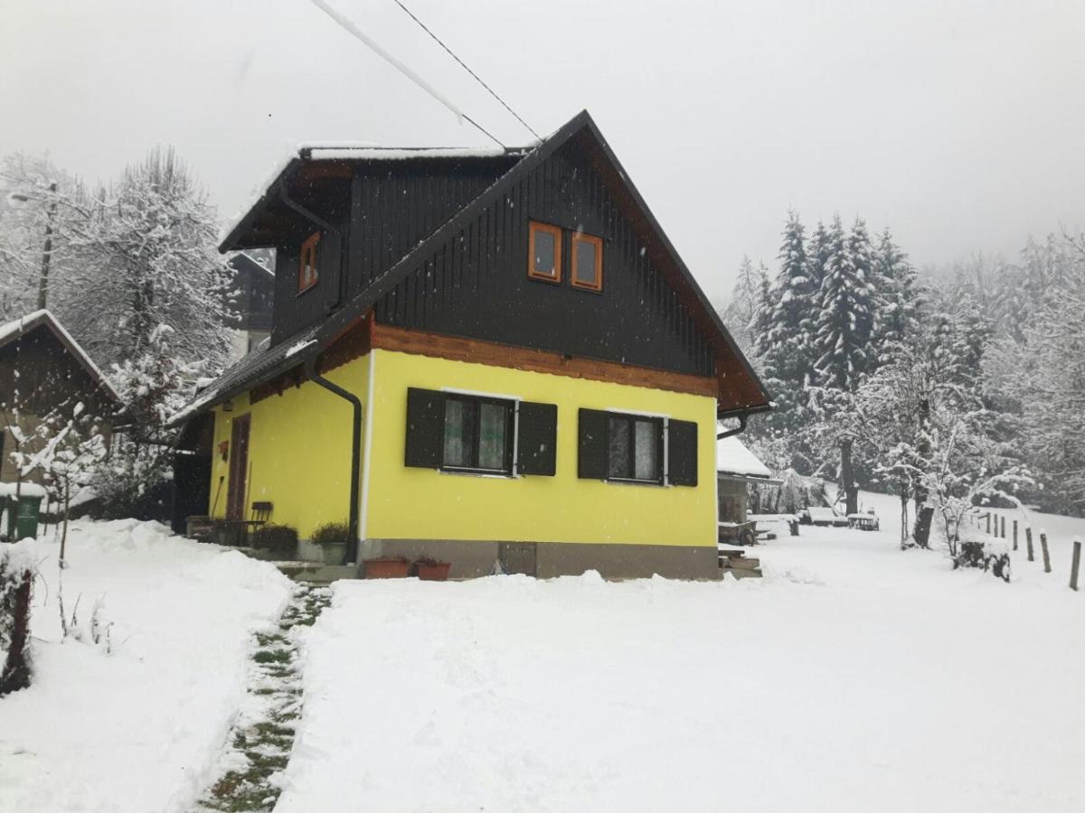 Kuca Za Odmor Forest Dream U Blizini Rijeke Kupe Plesce Kültér fotó