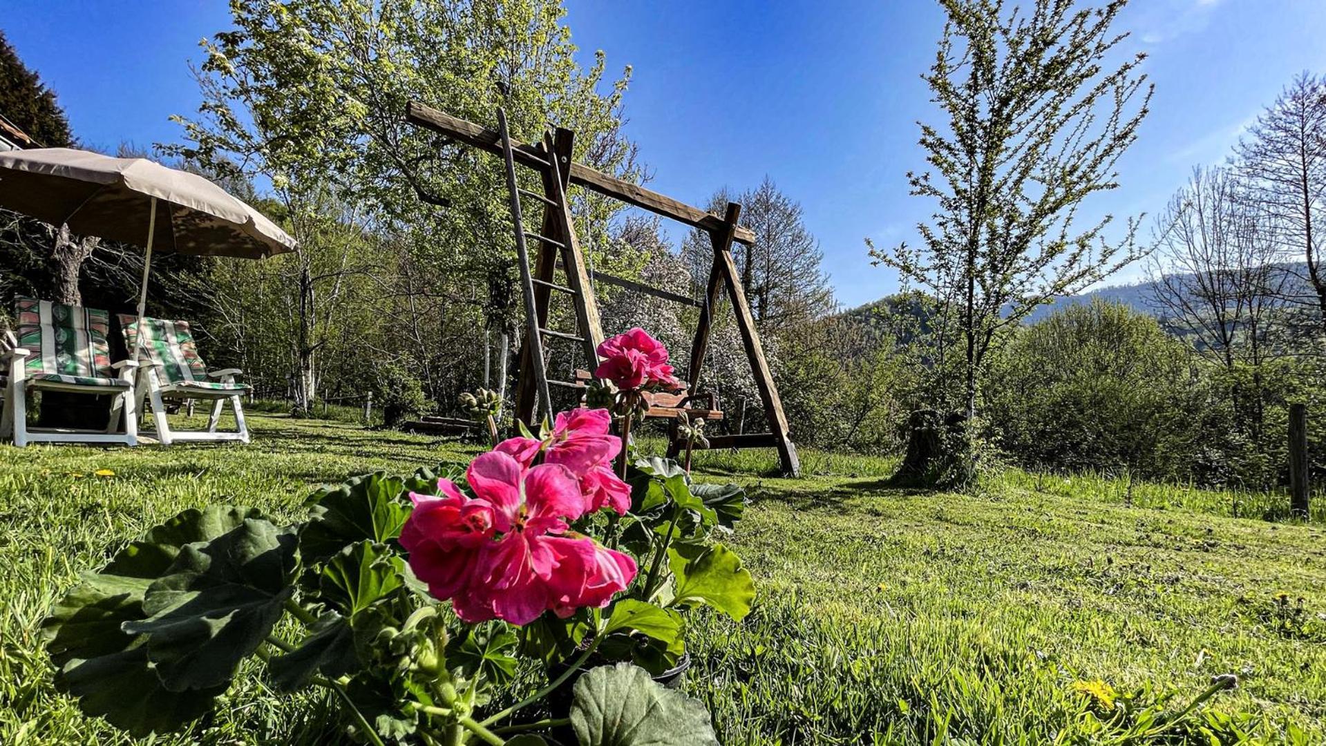 Kuca Za Odmor Forest Dream U Blizini Rijeke Kupe Plesce Kültér fotó