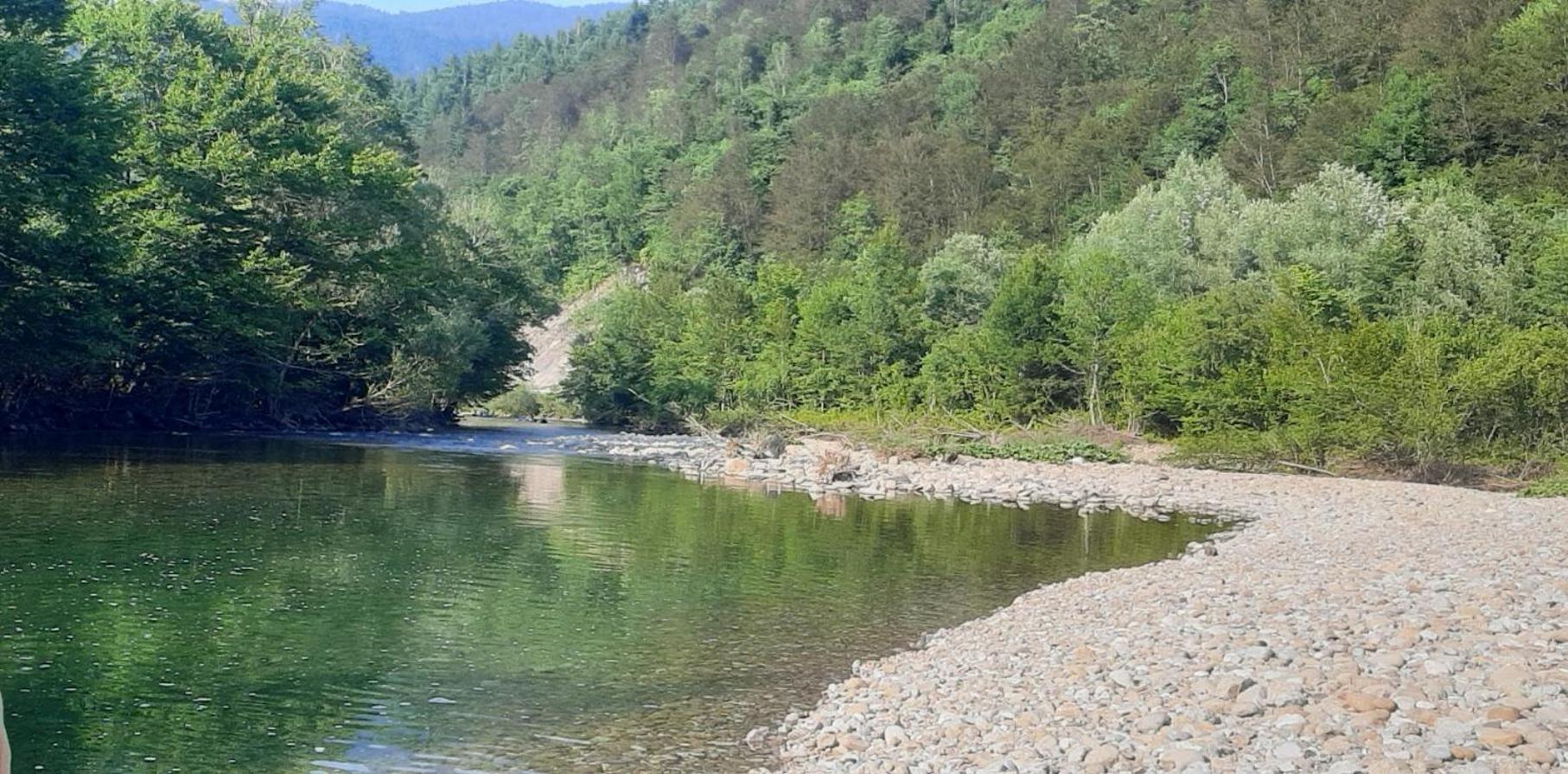 Kuca Za Odmor Forest Dream U Blizini Rijeke Kupe Plesce Kültér fotó
